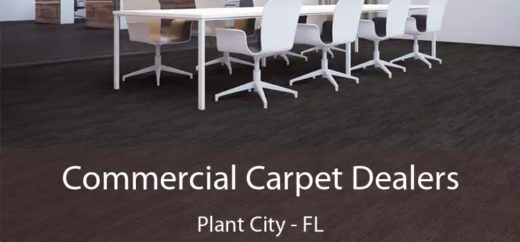  Commercial Carpet Dealers Plant City - FL