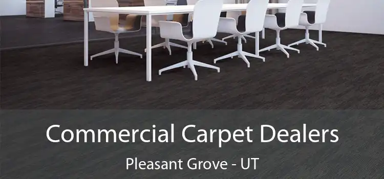 Commercial Carpet Dealers Pleasant Grove - UT