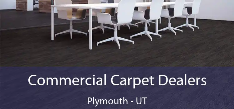 Commercial Carpet Dealers Plymouth - UT