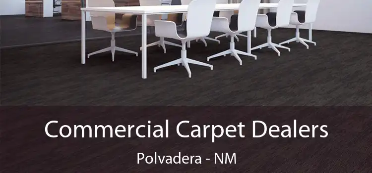  Commercial Carpet Dealers Polvadera - NM
