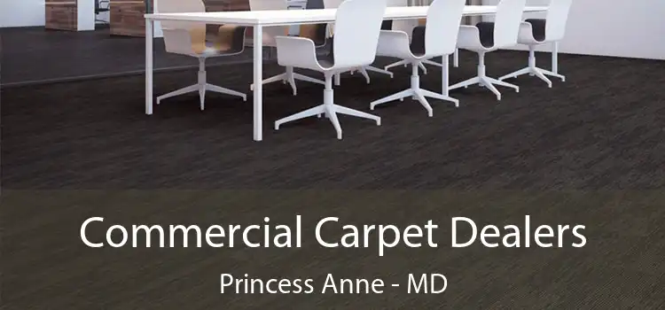 Commercial Carpet Dealers Princess Anne - MD