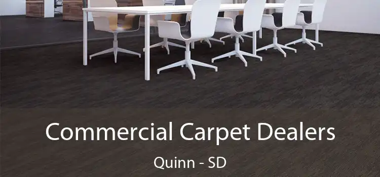  Commercial Carpet Dealers Quinn - SD