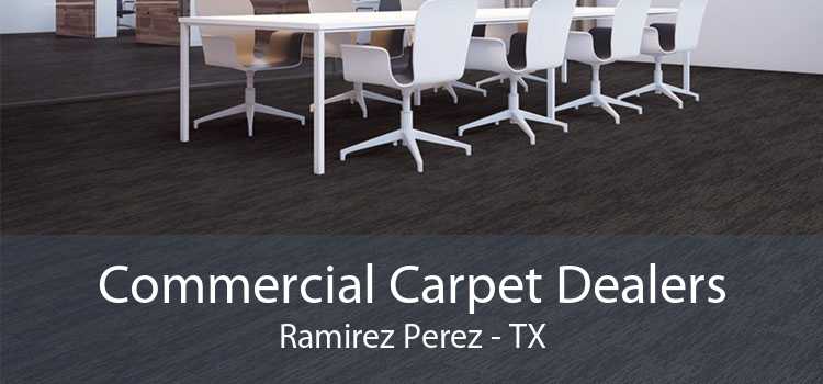 Commercial Carpet Dealers Ramirez Perez - TX