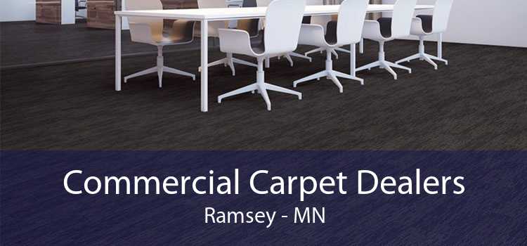 Commercial Carpet Dealers Ramsey - MN