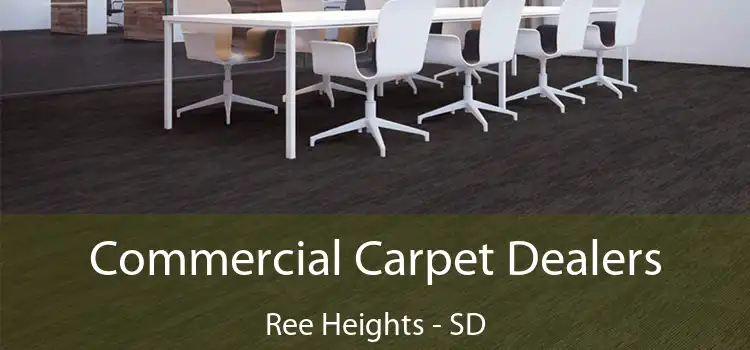 Commercial Carpet Dealers Ree Heights - SD