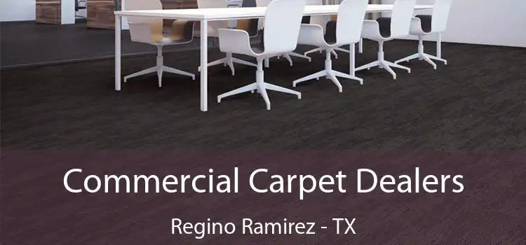  Commercial Carpet Dealers Regino Ramirez - TX