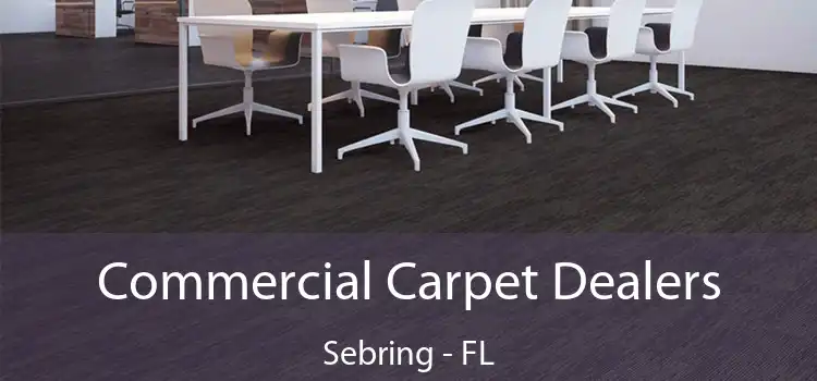  Commercial Carpet Dealers Sebring - FL