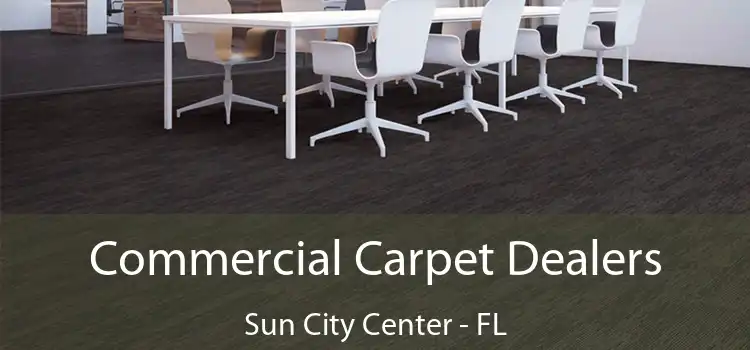  Commercial Carpet Dealers Sun City Center - FL