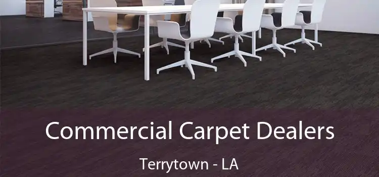 Commercial Carpet Dealers Terrytown - LA