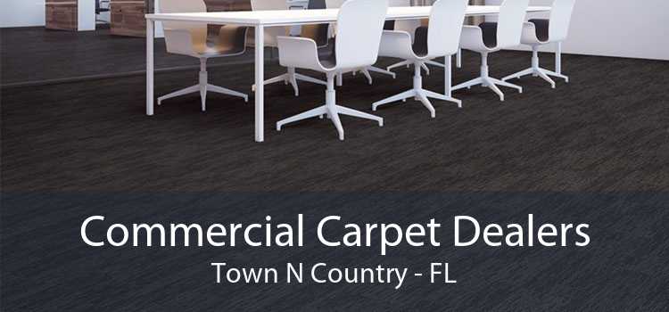 Commercial Carpet Dealers Town N Country - FL