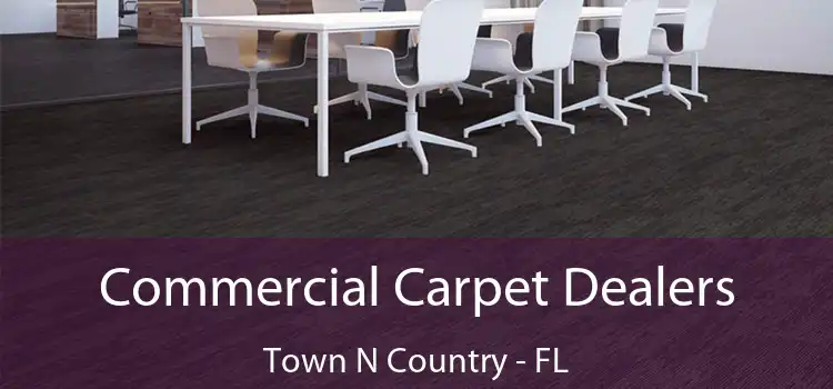  Commercial Carpet Dealers Town N Country - FL