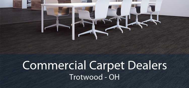 Commercial Carpet Dealers Trotwood - OH