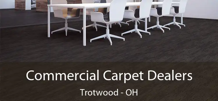  Commercial Carpet Dealers Trotwood - OH