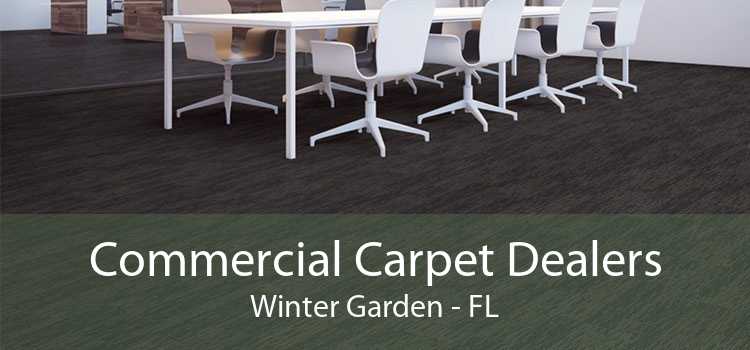 Commercial Carpet Dealers Winter Garden - FL