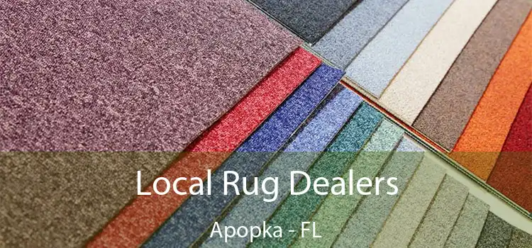  Local Rug Dealers Apopka - FL