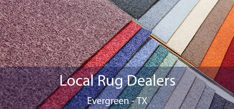  Local Rug Dealers Evergreen - TX