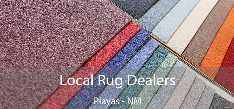  Local Rug Dealers Playas - NM