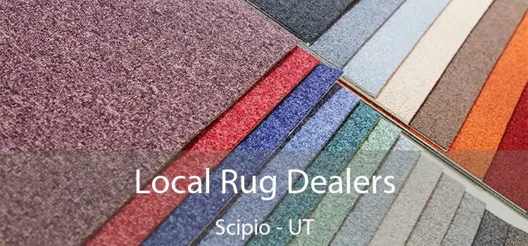  Local Rug Dealers Scipio - UT