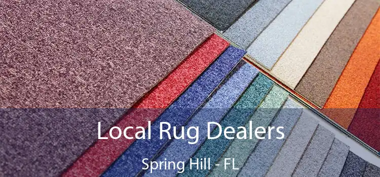  Local Rug Dealers Spring Hill - FL