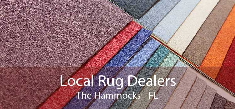 Local Rug Dealers The Hammocks - FL
