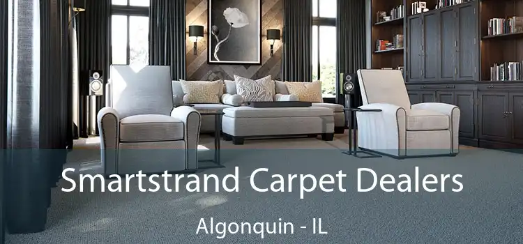  Smartstrand Carpet Dealers Algonquin - IL