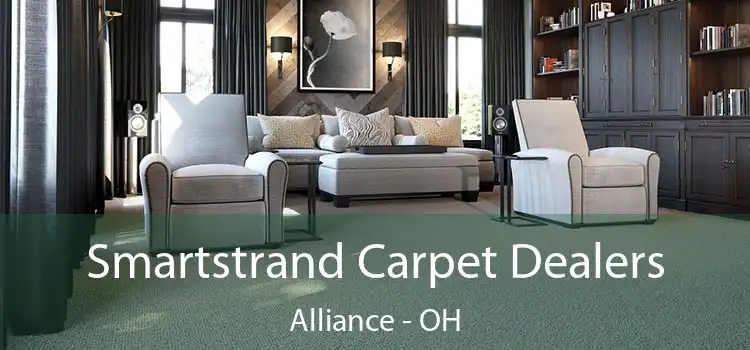  Smartstrand Carpet Dealers Alliance - OH