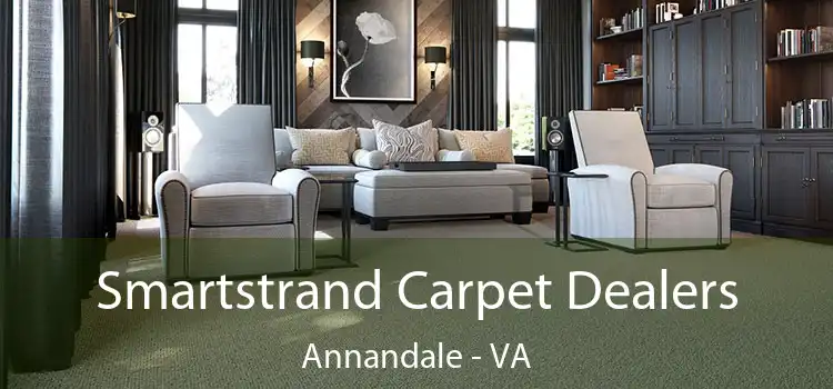  Smartstrand Carpet Dealers Annandale - VA