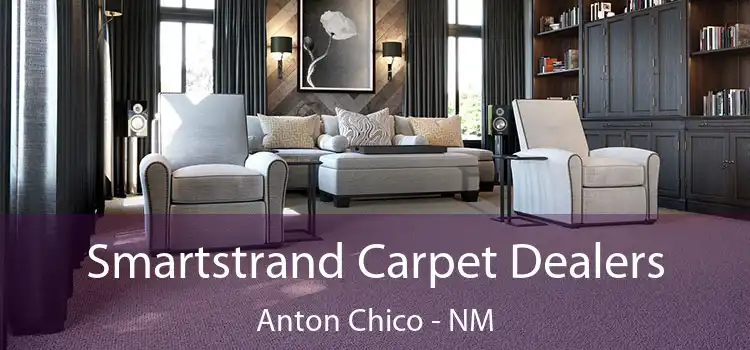  Smartstrand Carpet Dealers Anton Chico - NM