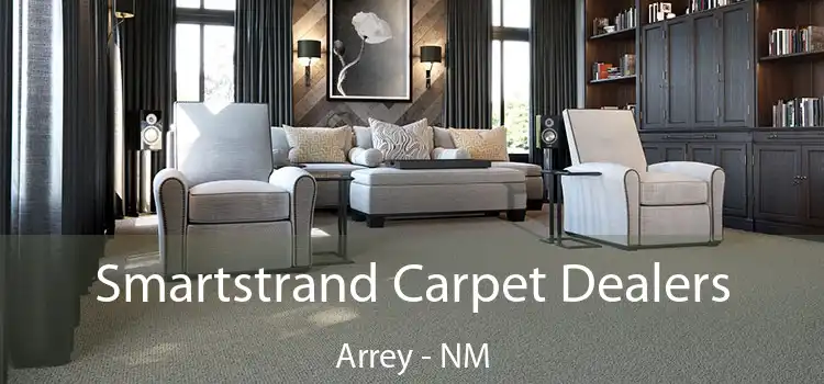  Smartstrand Carpet Dealers Arrey - NM