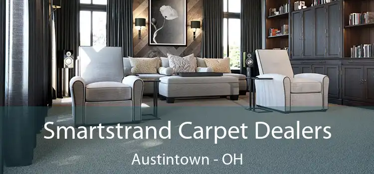  Smartstrand Carpet Dealers Austintown - OH
