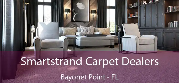  Smartstrand Carpet Dealers Bayonet Point - FL