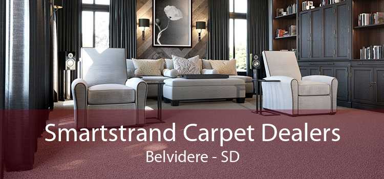 Smartstrand Carpet Dealers Belvidere - SD