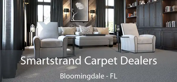  Smartstrand Carpet Dealers Bloomingdale - FL