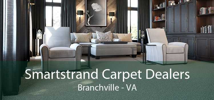 Smartstrand Carpet Dealers Branchville - VA