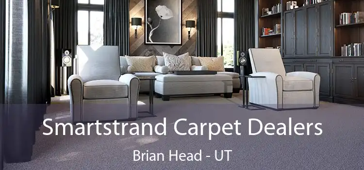  Smartstrand Carpet Dealers Brian Head - UT