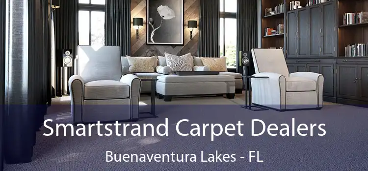  Smartstrand Carpet Dealers Buenaventura Lakes - FL