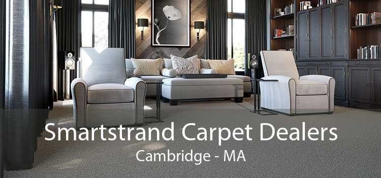 Smartstrand Carpet Dealers Cambridge - MA
