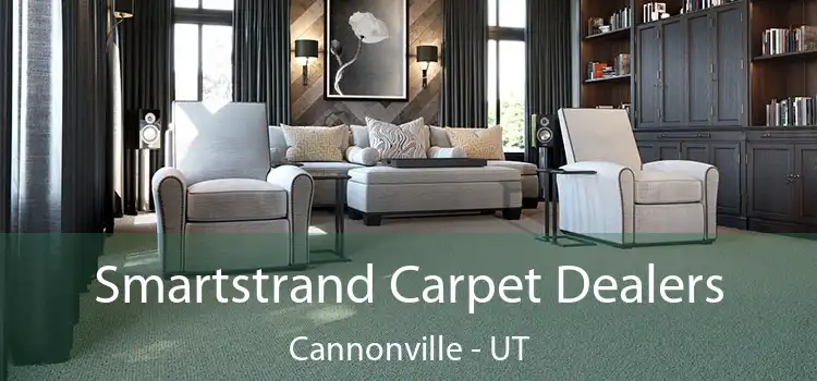  Smartstrand Carpet Dealers Cannonville - UT