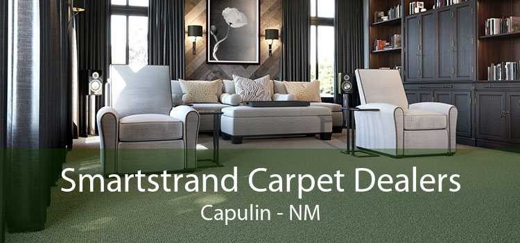 Smartstrand Carpet Dealers Capulin - NM