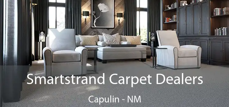  Smartstrand Carpet Dealers Capulin - NM