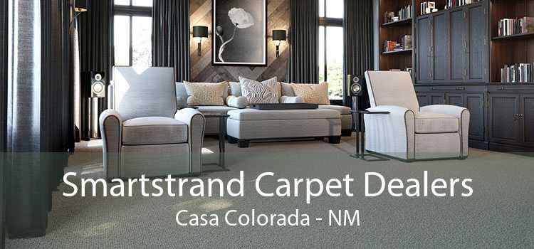 Smartstrand Carpet Dealers Casa Colorada - NM