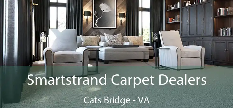  Smartstrand Carpet Dealers Cats Bridge - VA