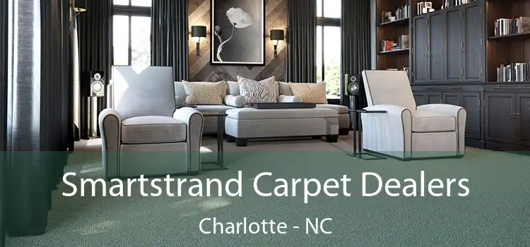  Smartstrand Carpet Dealers Charlotte - NC