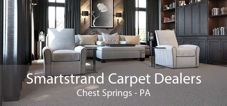 Smartstrand Carpet Dealers Chest Springs - PA