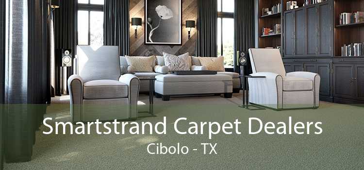 Smartstrand Carpet Dealers Cibolo - TX