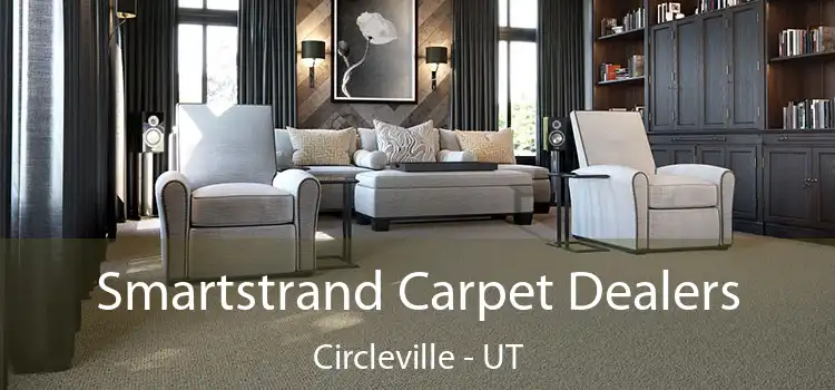  Smartstrand Carpet Dealers Circleville - UT