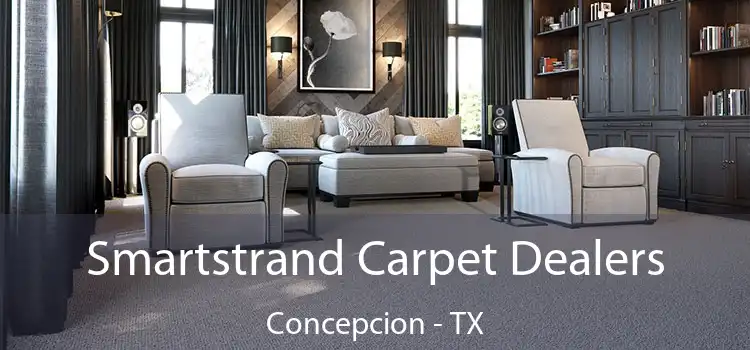  Smartstrand Carpet Dealers Concepcion - TX