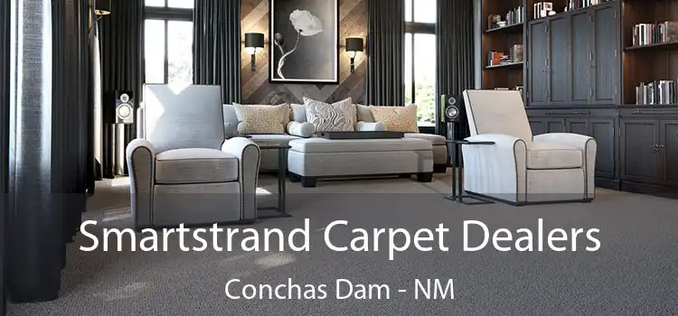  Smartstrand Carpet Dealers Conchas Dam - NM