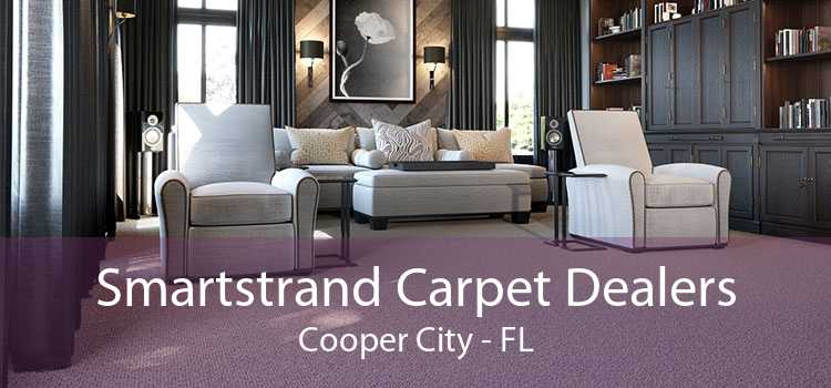 Smartstrand Carpet Dealers Cooper City - FL