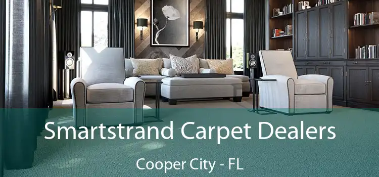  Smartstrand Carpet Dealers Cooper City - FL